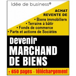 Marchand de biens, idée de business