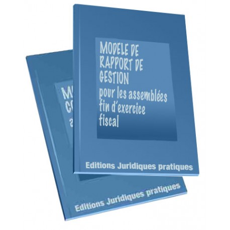 Modele De Rapport De Gestion